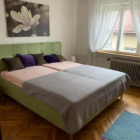Apartman Lunik Svratka Exterior photo