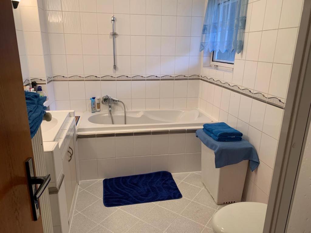 Lunik Apartment Svratka