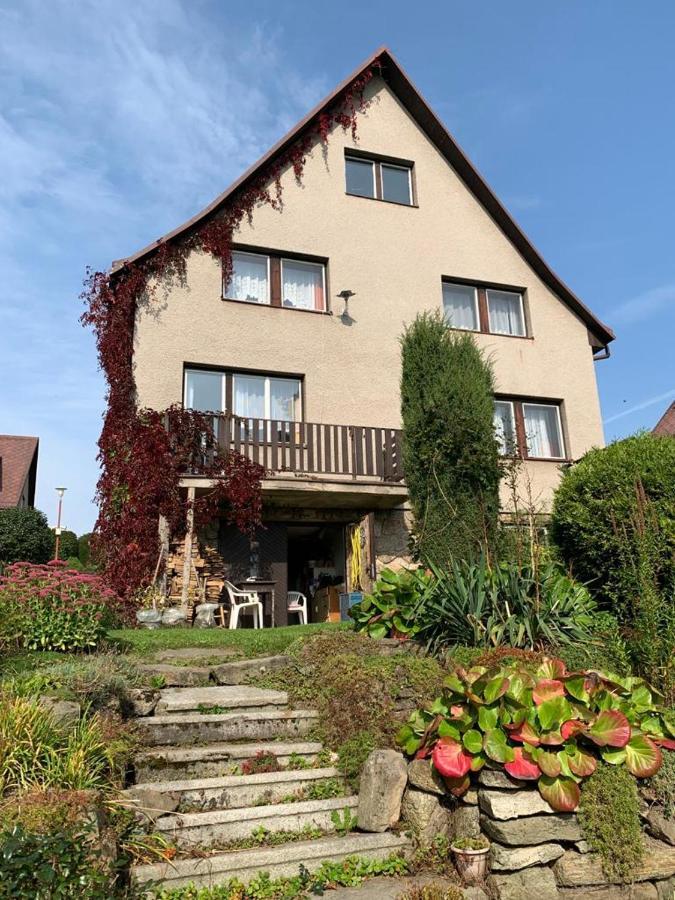 Lunik Apartment Svratka